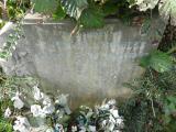 image of grave number 695122